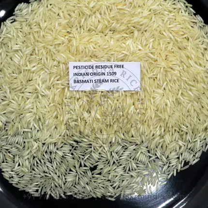 Pesticide-Residue-Free-1509-Steam-Basmati-Rice