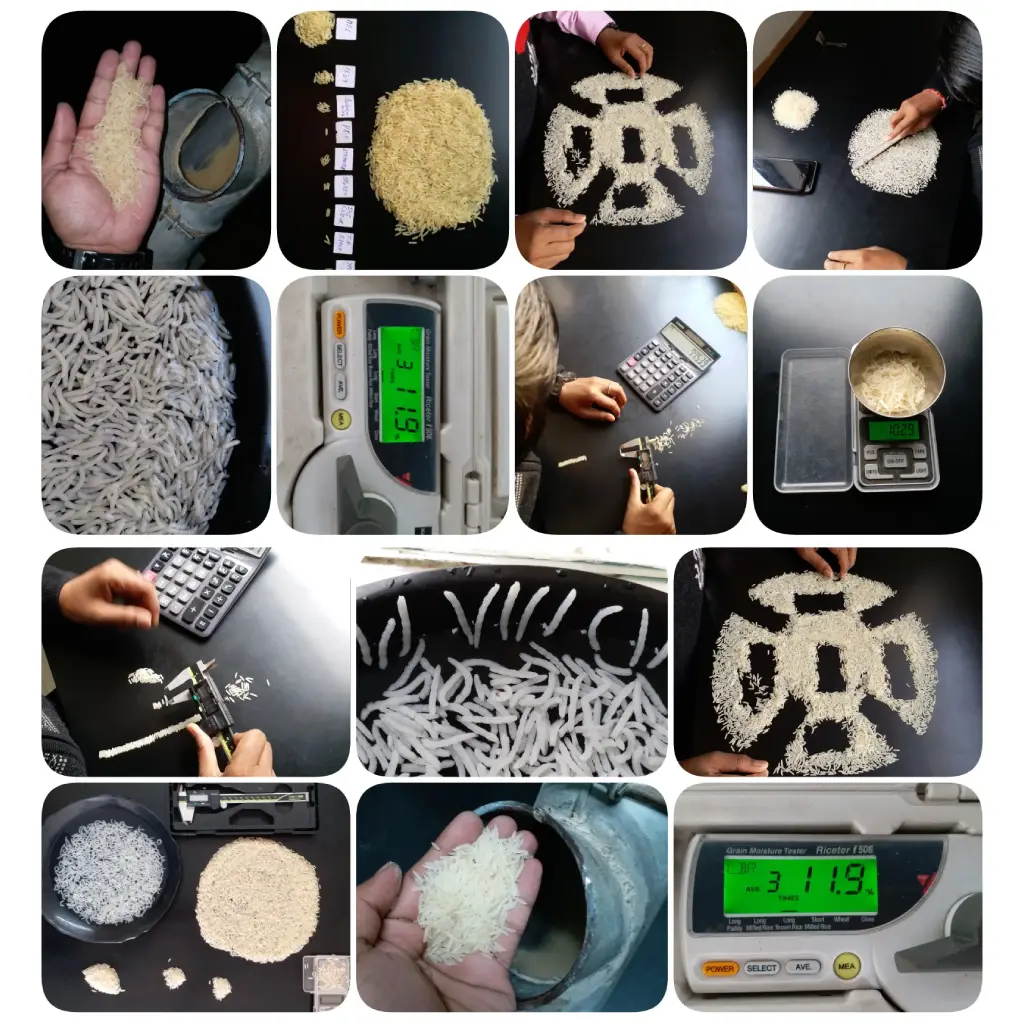rice testing and inspection lab rice testing and inspection lab