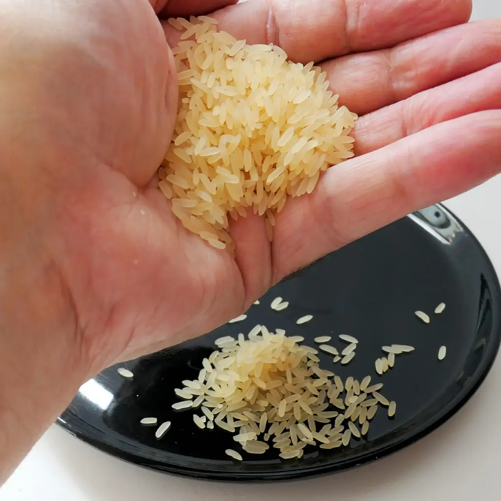 basmati rice quality inspection process in India basmati rice quality inspection process in India