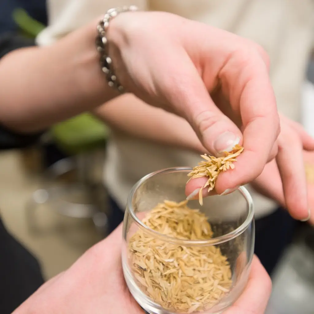 rice grain testing and quality control lab analysis rice grain testing and quality control lab analysis