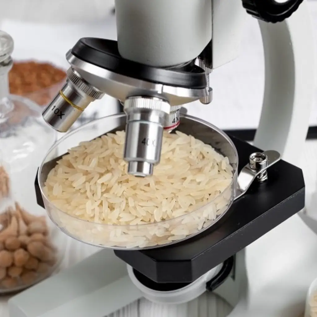 basmati rice sorting and grading process basmati rice sorting and grading process