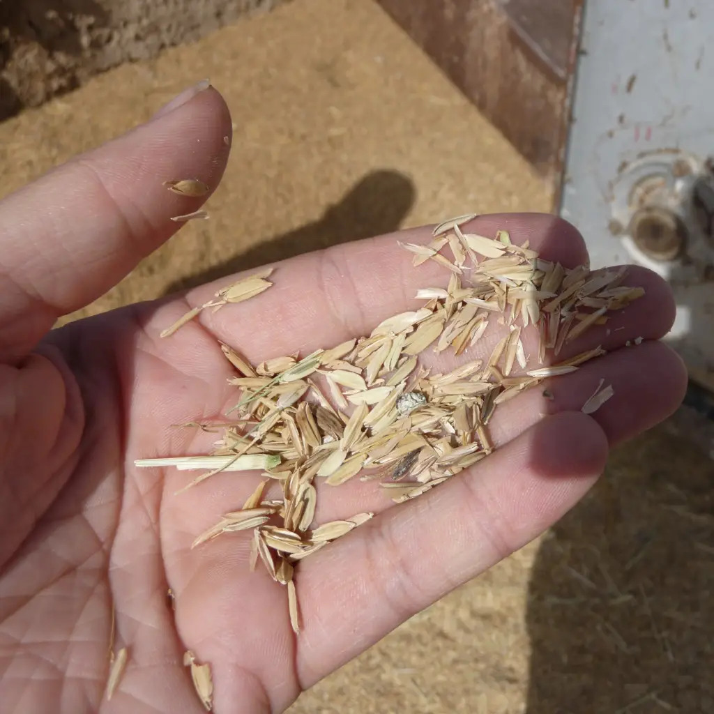 hygienic rice processing and packaging facility hygienic rice processing and packaging facility