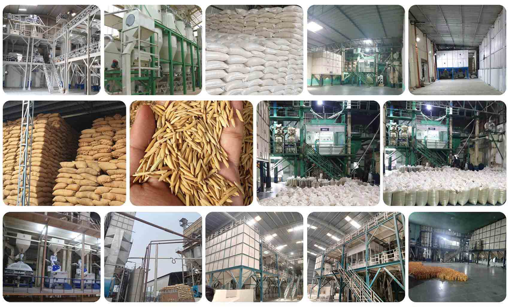 basmati rice manufacturer haryana india