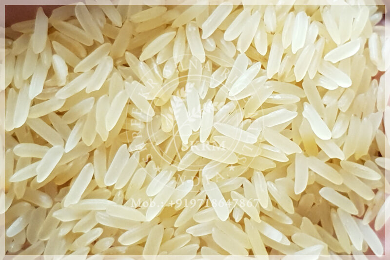 PR11 GOLDEN SELLA RICE