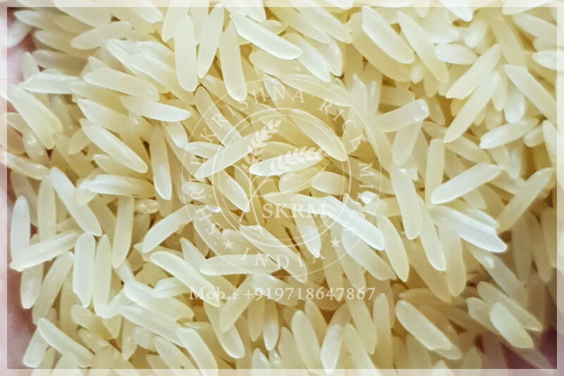 SHARBATI GOLDEN SELLA RICE