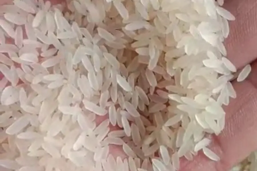 SONA MASOORI STEAM RICE