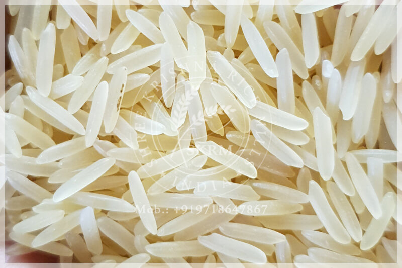 SUGANDHA GOLDEN SELLA RICE