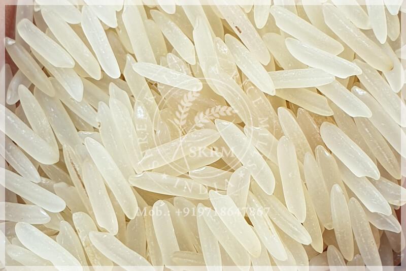 SUGANDHA SELLA RICE